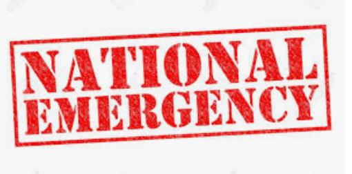 Emergency Declarations Demystified: A Comprehensive Guide